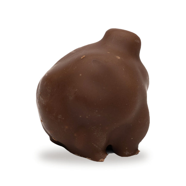 A whole Pistachio Fondant — a milk chocolate piece