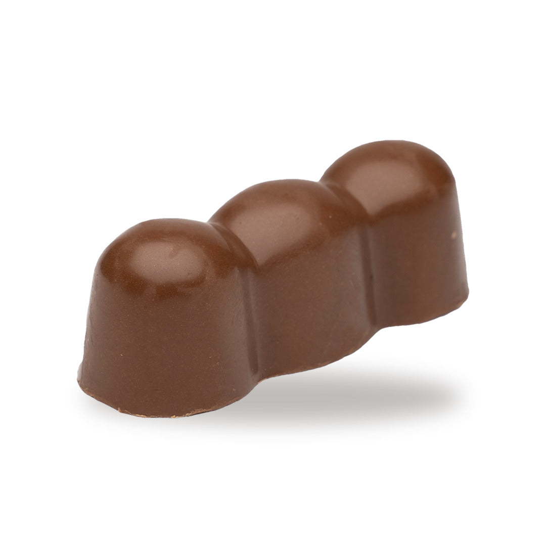 A whole Three Hazelnut — a dark chocolate piece