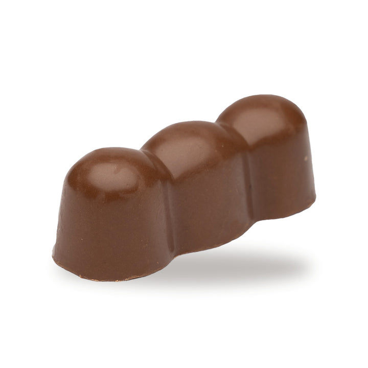 A whole Three Hazelnut — a dark chocolate piece