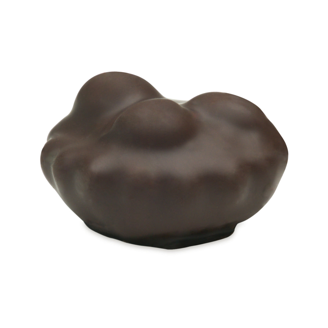 Dark chocolate-covered tarte with glossy top