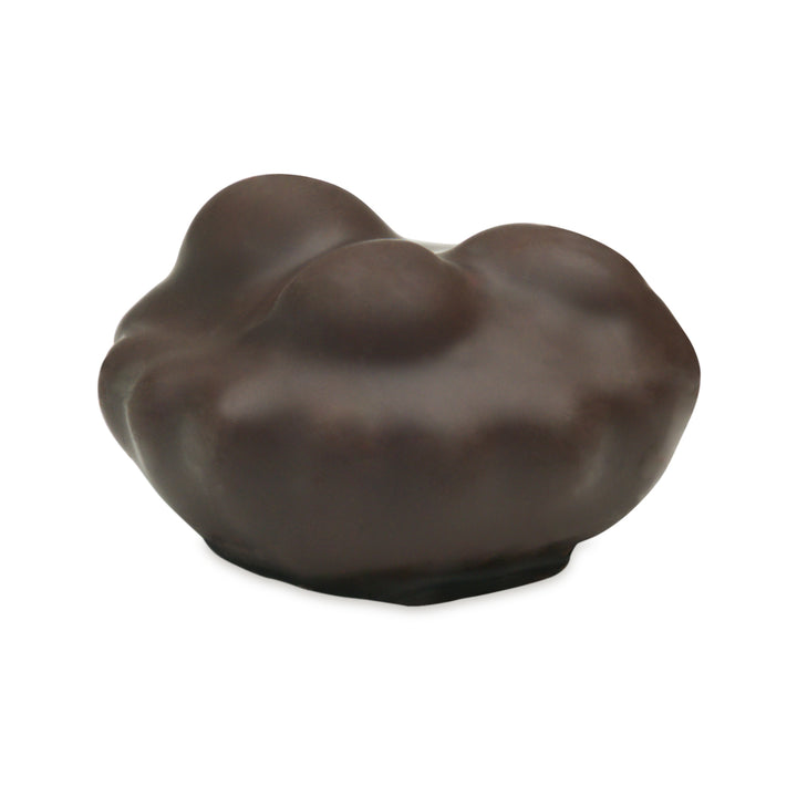 Dark chocolate-covered tarte with glossy top